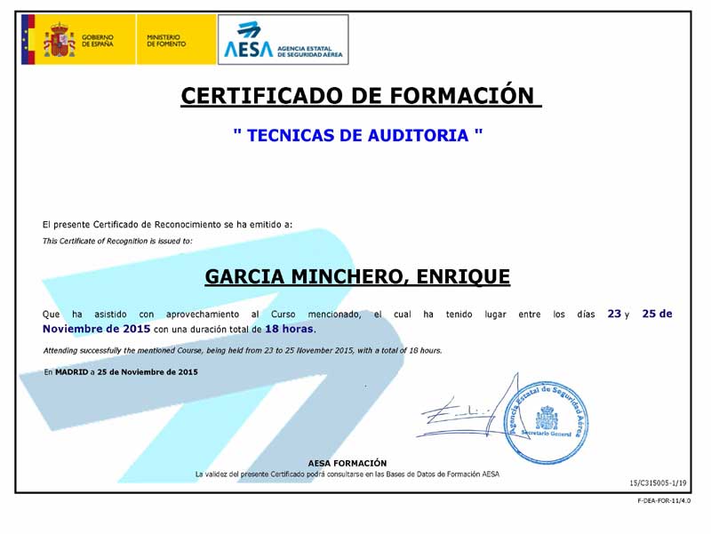 TECNICAS DE AUDITORIA